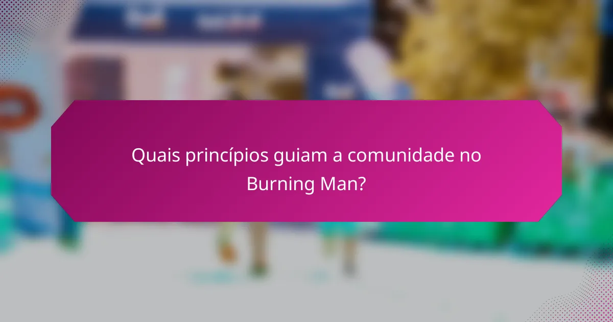 Quais princípios guiam a comunidade no Burning Man?