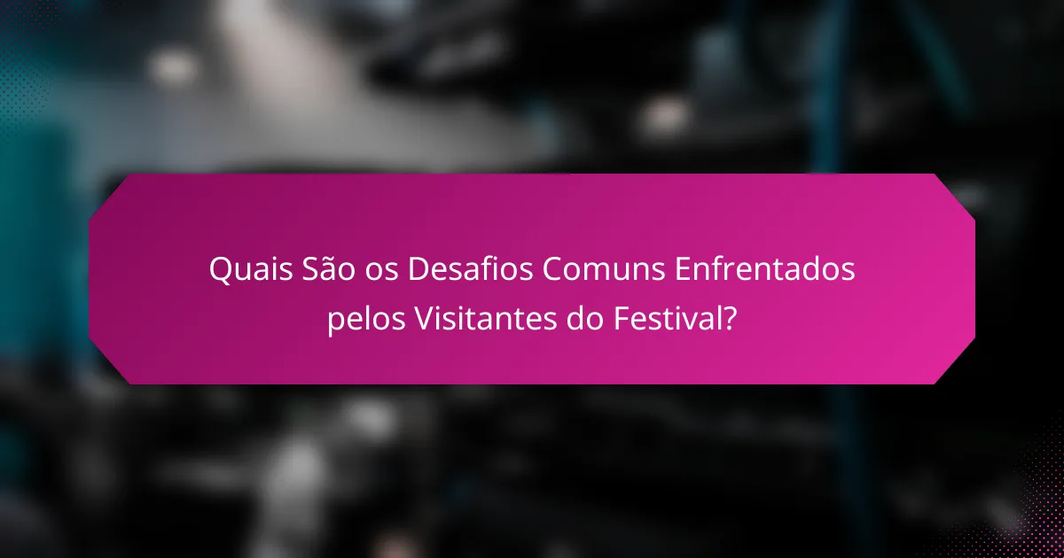 Quais São os Desafios Comuns Enfrentados pelos Visitantes do Festival?